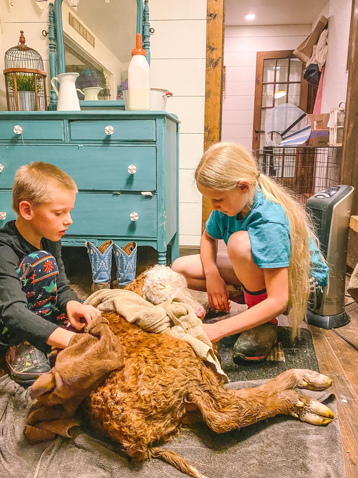 The Winger siblings have become more engaged in homesteading activities since quitting TV. (Courtesy of <a href="https://www.theprairiehomestead.com/">Jill Winger</a>)