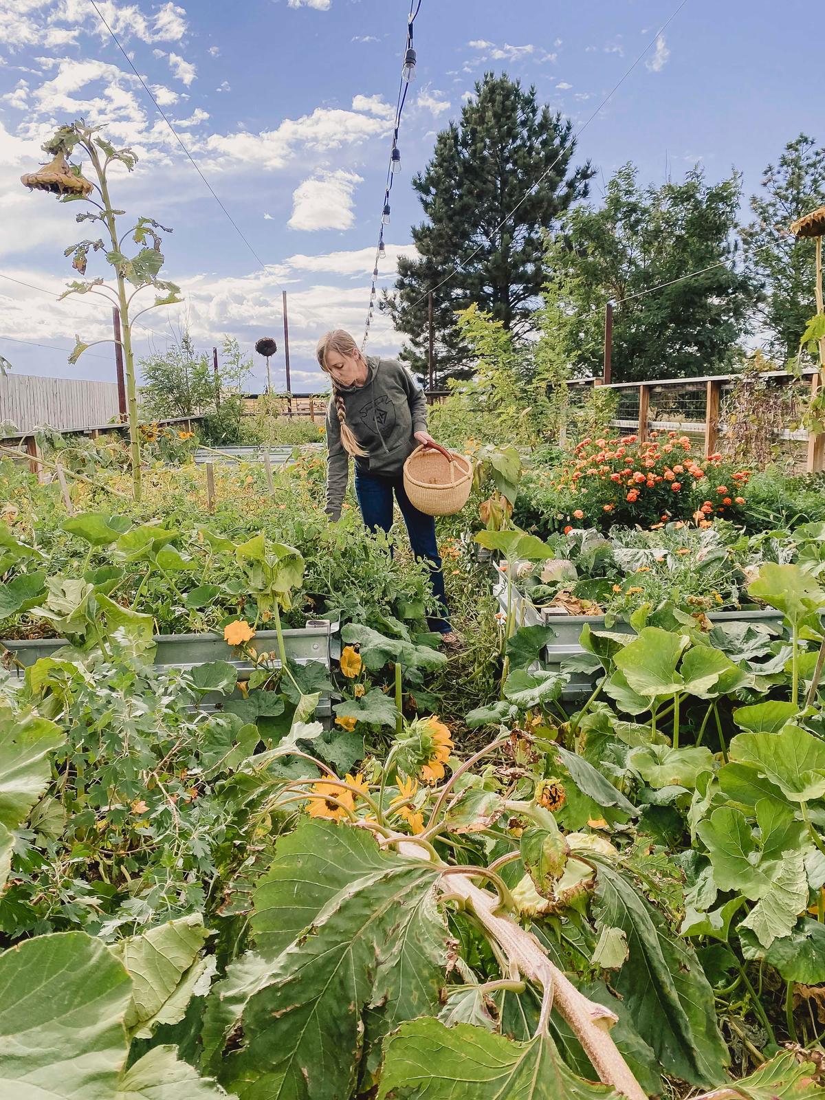 The family farm. (Courtesy of <a href="https://www.theprairiehomestead.com/">Jill Winger</a>)