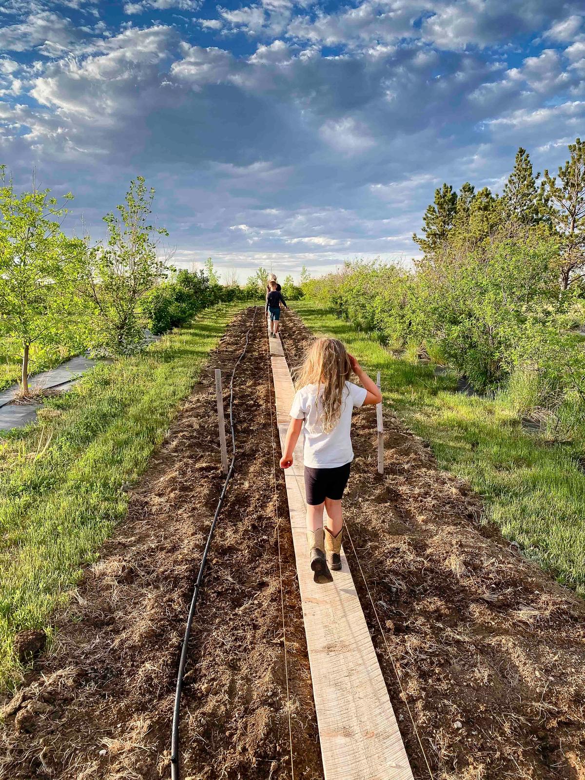 (Courtesy of <a href="https://www.theprairiehomestead.com/">Jill Winger</a>)