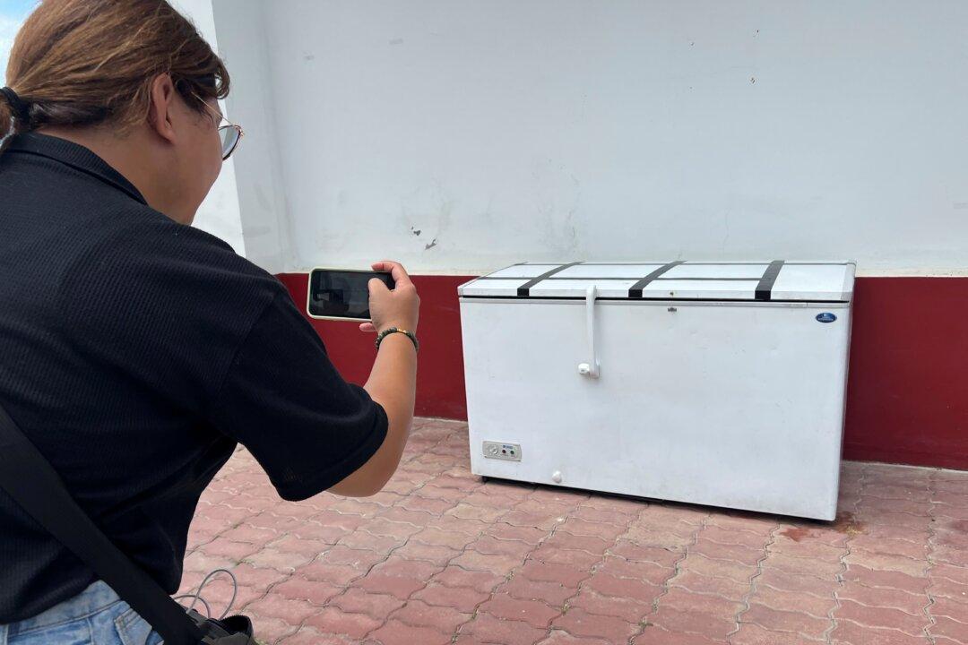 German Businessman’s Dismembered Body Found in Freezer in Thailand With Chainsaw and Hedge Clippers