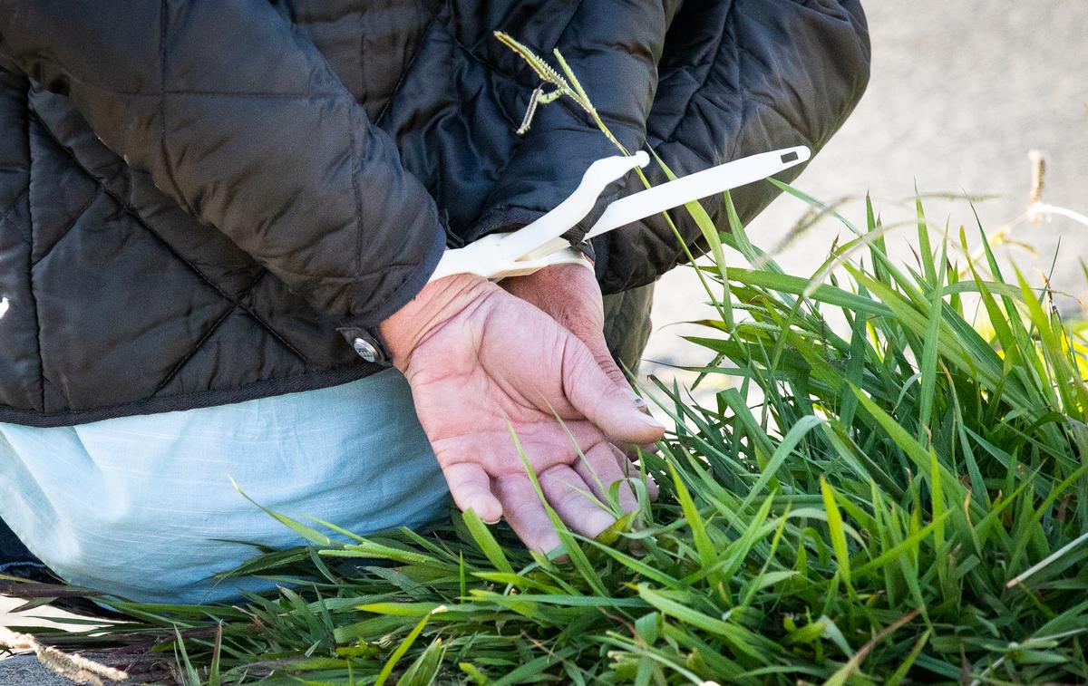 A Bill to Keep Defendants Out of Prison Dies in California Senate