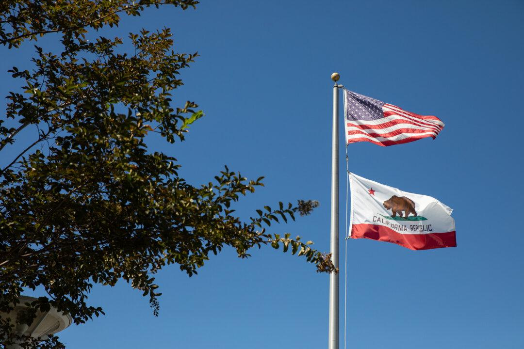 What Type of Society Will We Become?