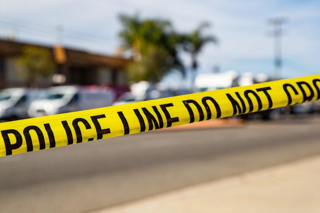 Criminal Justice Advocate Arrested, Charged with Murdering NYC Man, Chopping Up His Body