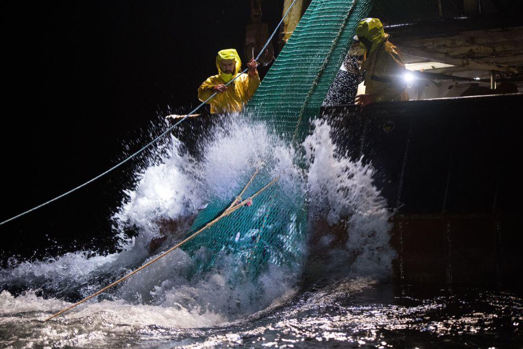 Queensland Government Slashes Fishing Quotas, Fish Prices Set to Rise
