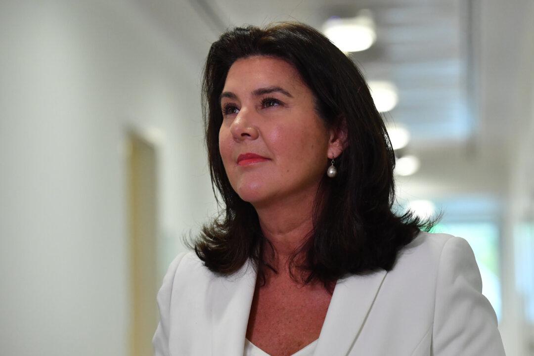 ‘Asleep at the Wheel’: Senator Decries Labor Over Data Leaks, Warns of Million-Dollar Losses