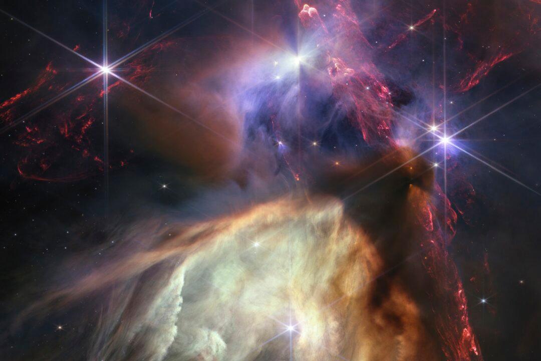 Webb Space Telescope Reveals Moment of Stellar Birth, Dramatic Close-Up of 50 Baby Stars