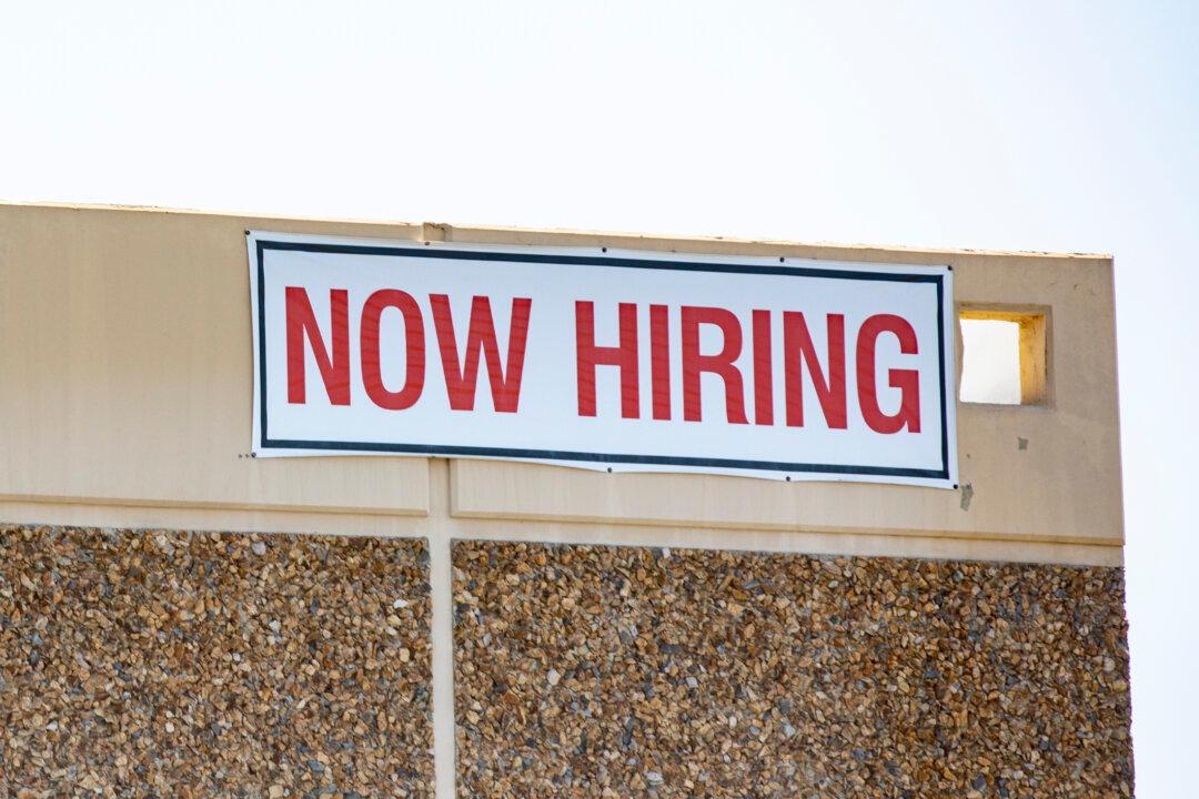 Employment Opportunities Will Increase in 2024, Recruitment Firm Predicts