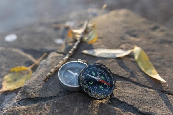 “A Valediction: Forbidding Mourning” says that two souls are never truly parted in the image of two compasses. (Sergei ua/Shutterstock)
