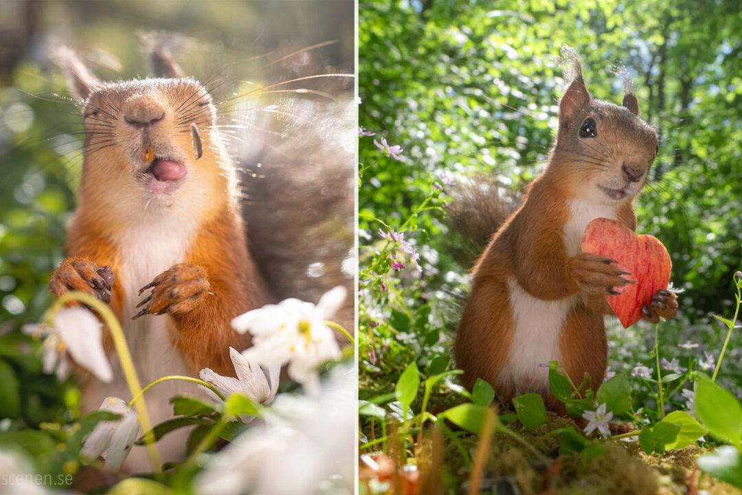 Squirrels With Personalities: Cheeky Photos Reveal the Fun Side of Squirrels—It’s All Too Relatable