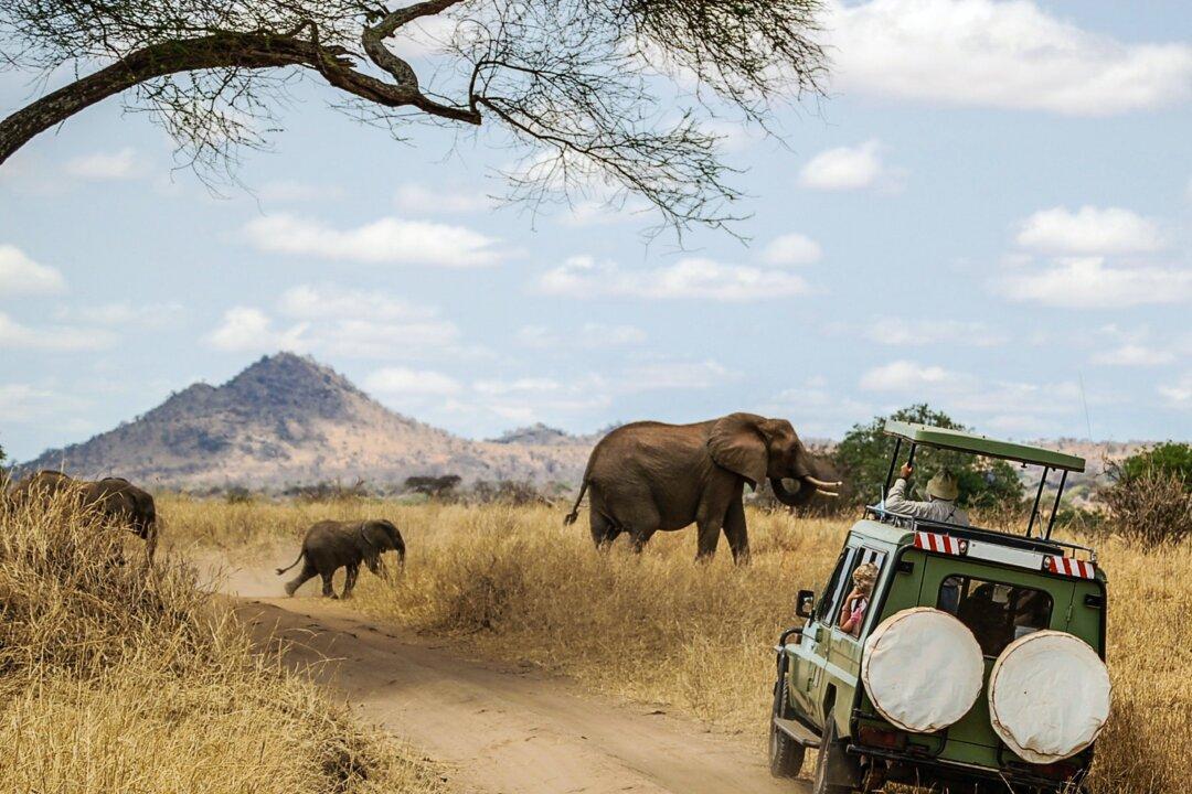 What’s New in Luxury Safari Trends for 2023