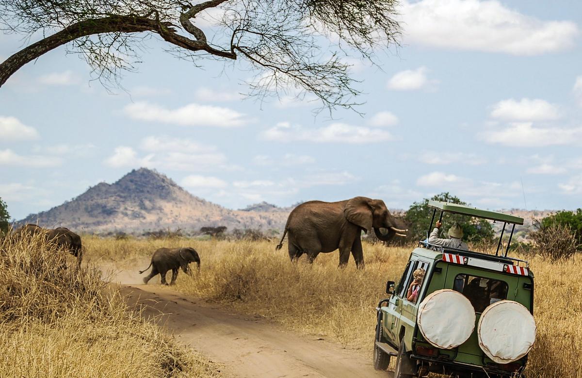 What’s New in Luxury Safari Trends for 2023