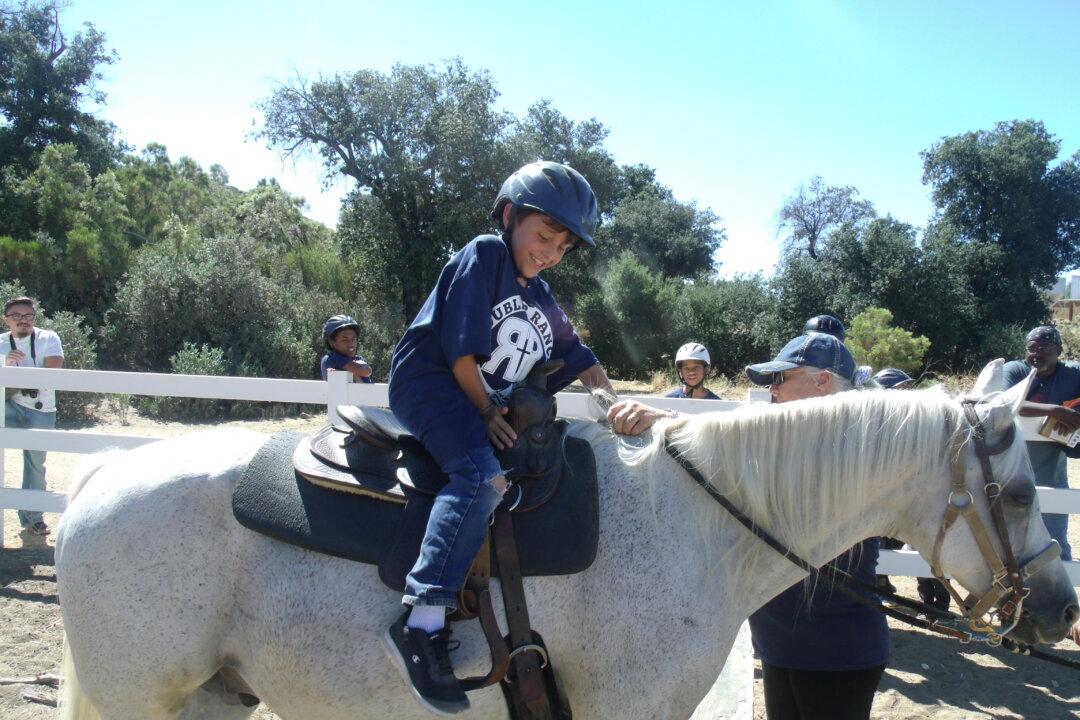 Equestrian Therapy Helps Formerly Homeless and Veterans With PTSD in Orange County