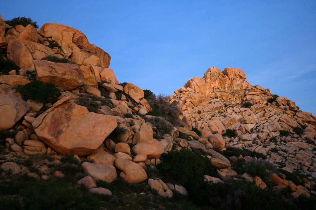 Mountain Biker Dies Helping to Rescue Distressed Hikers Near US-Mexico Border