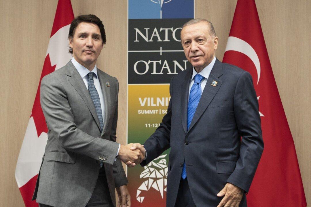 Canada Might Loosen Turkey Arms Embargo, Ottawa’s Former Military Envoy Says