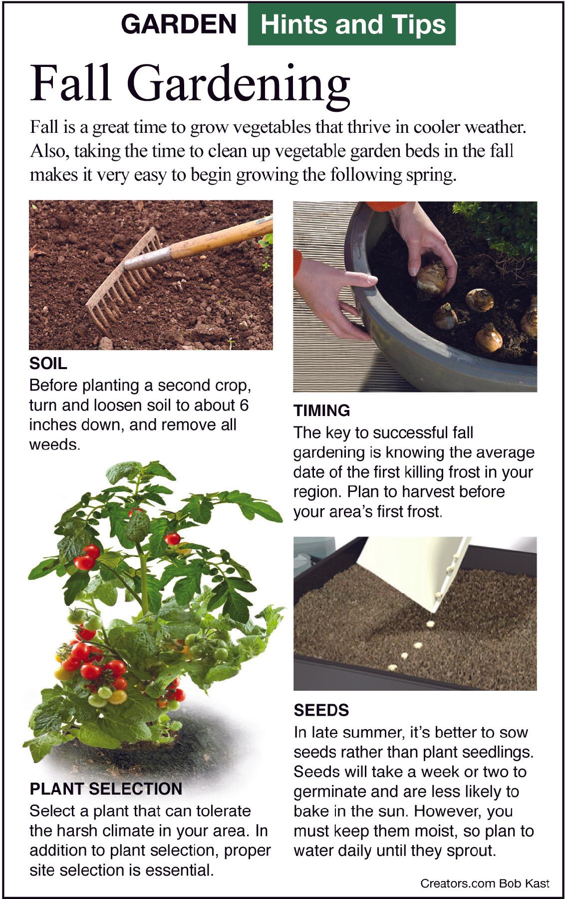fall gardening tip sheet