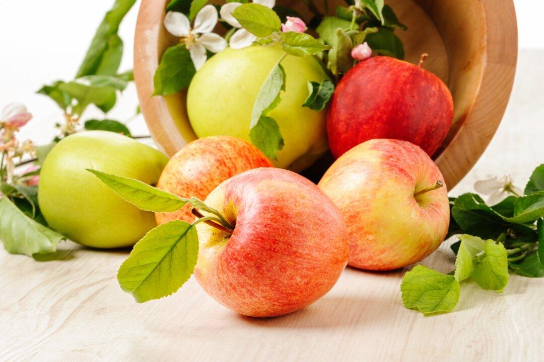 A Guide to Storing Apples at Home Fresh and Delicious