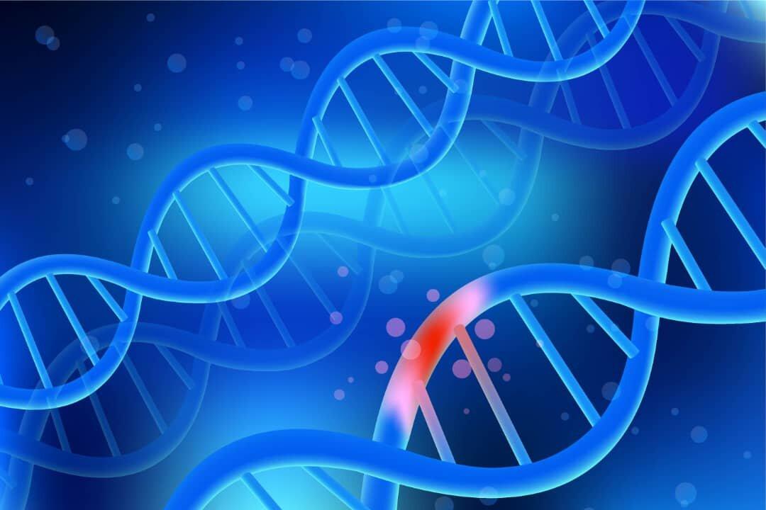 FDA Document Raises Concerns Over a New Gene Editing Therapy