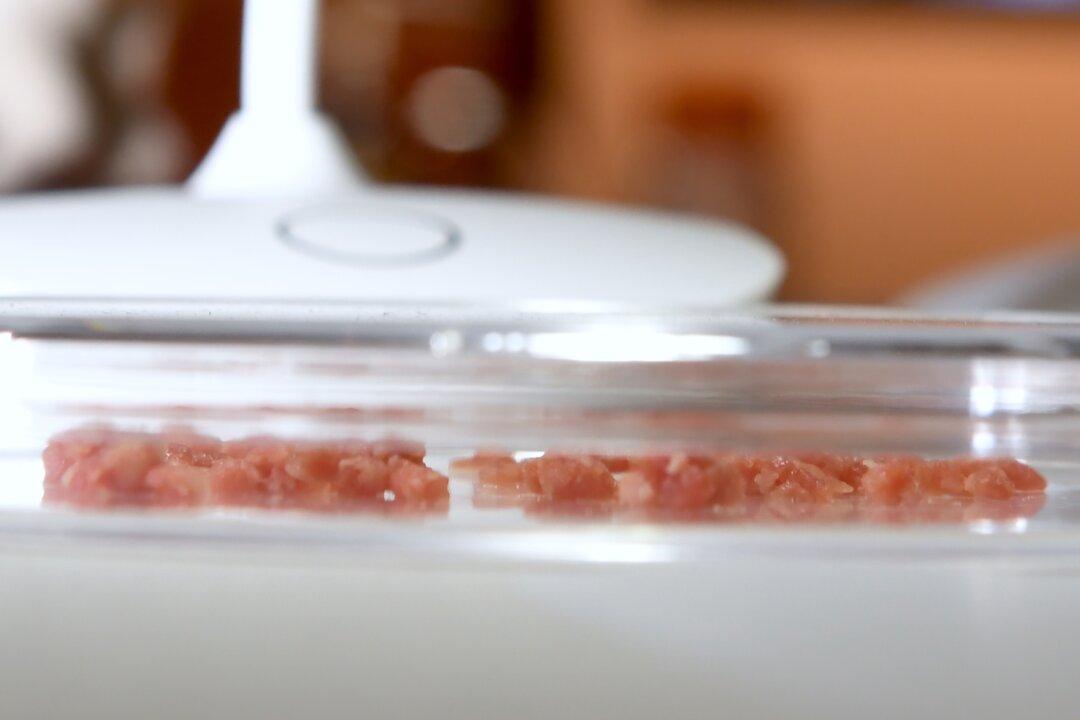 Florida Becomes First State to Ban ‘Fake Meat’