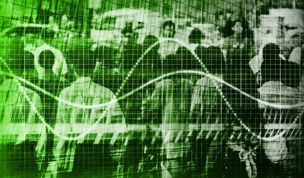 You Are the Population They Want to Control