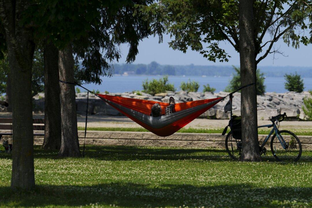 Ontario Can Expect Little Relief From Heat and Humidity This Summer, Experts Say