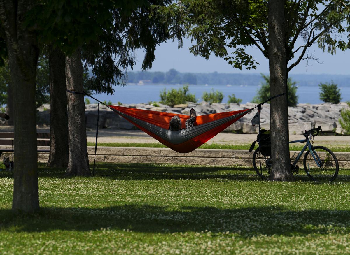 Ontario Can Expect Little Relief From Heat and Humidity This Summer, Experts Say