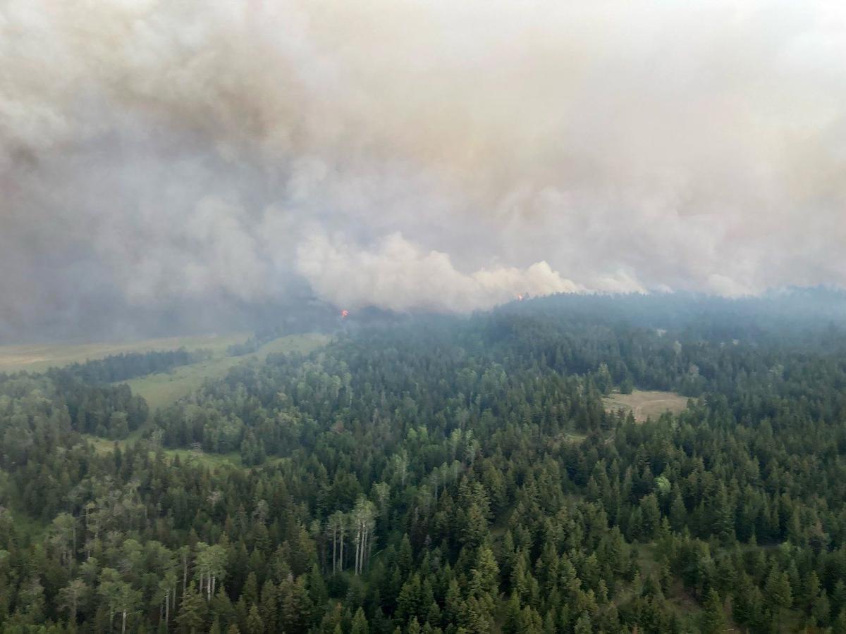Adams Lake Wildfire Flares as Wind, Harsh Terrain Challenge BC on Multiple Fronts