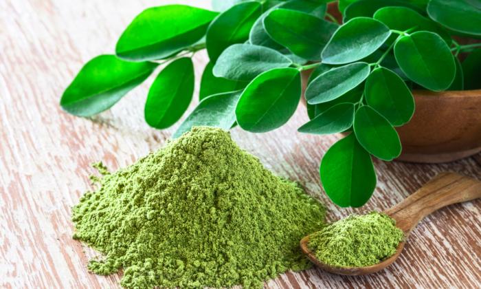 Moringa: What Can This ‘Wonder Plant’ Do for You?