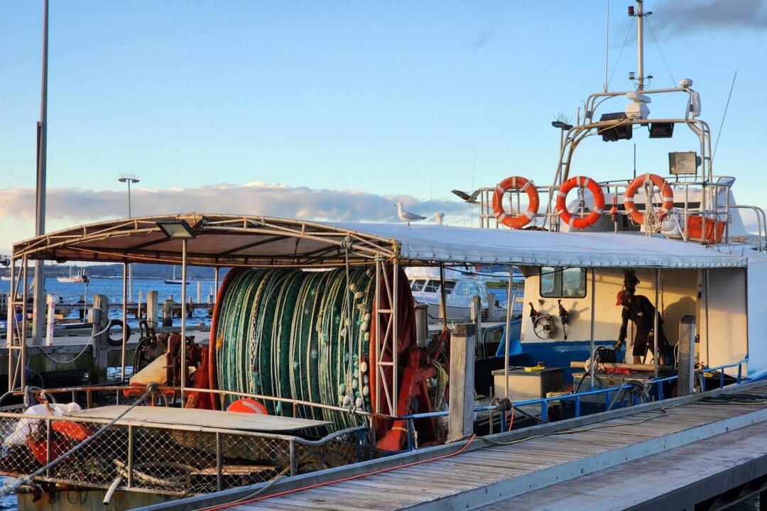 Two Fishermen Die in Sydney After Being Swept Off Rocks