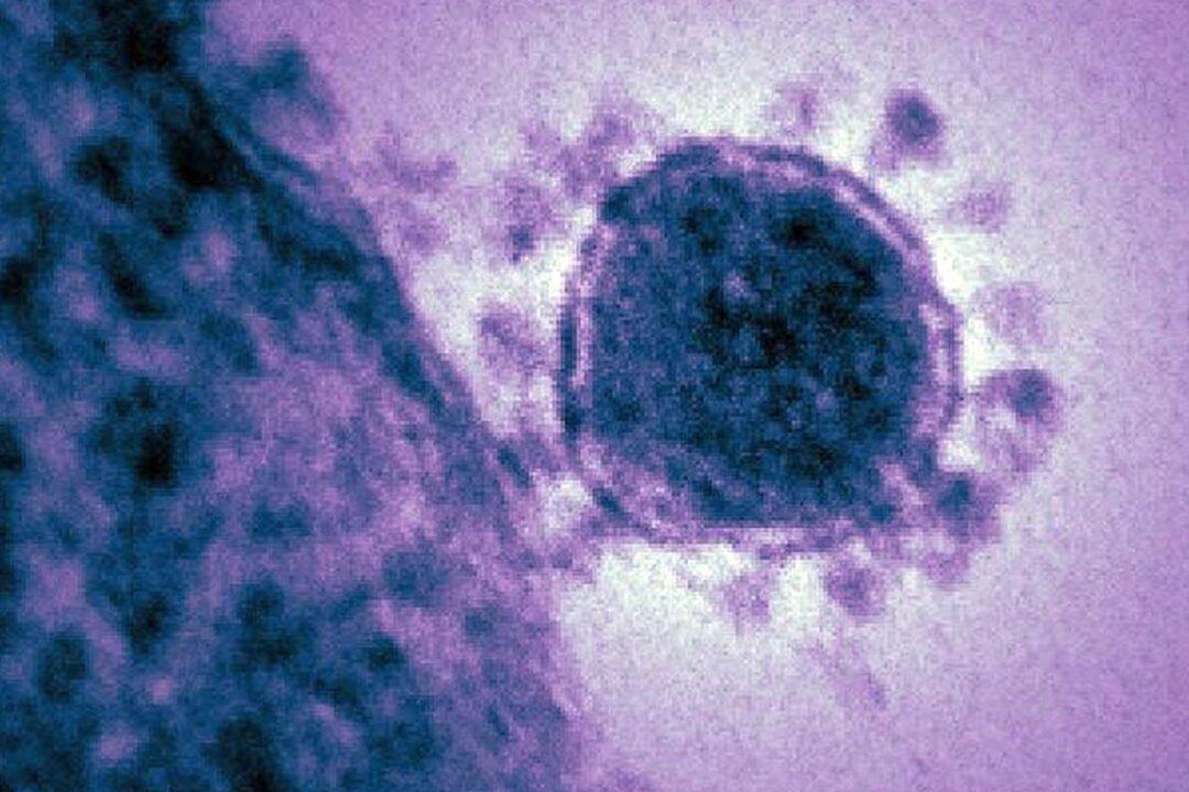 New Potentially Deadly MERS-CoV Case Reported as WHO Continues to Monitor Situation