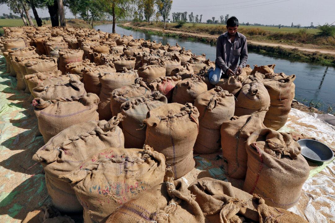 IMF Warns India’s Rice Export Ban Could Worsen Food Price Inflation