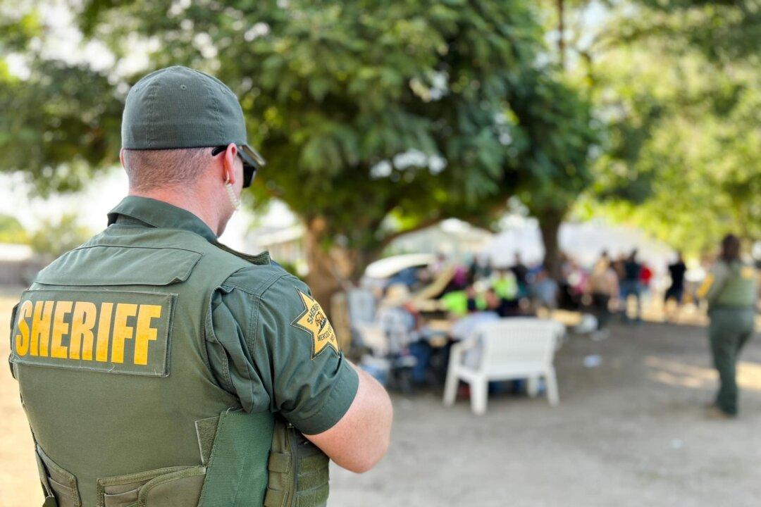 California Sheriff Recounts Horrors at Cartel-Run Cannabis Farms Amid Officer Shortage