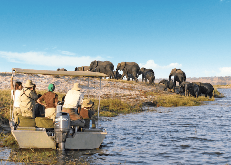 This 4-Country Land and Cruise Safari Is the Perfect Introduction to Southern Africa