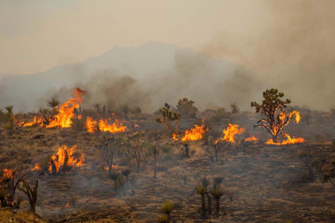 Scientist Says He Omitted ‘Full Truth’ From Paper to Fit Top Journal’s Climate Change Narrative