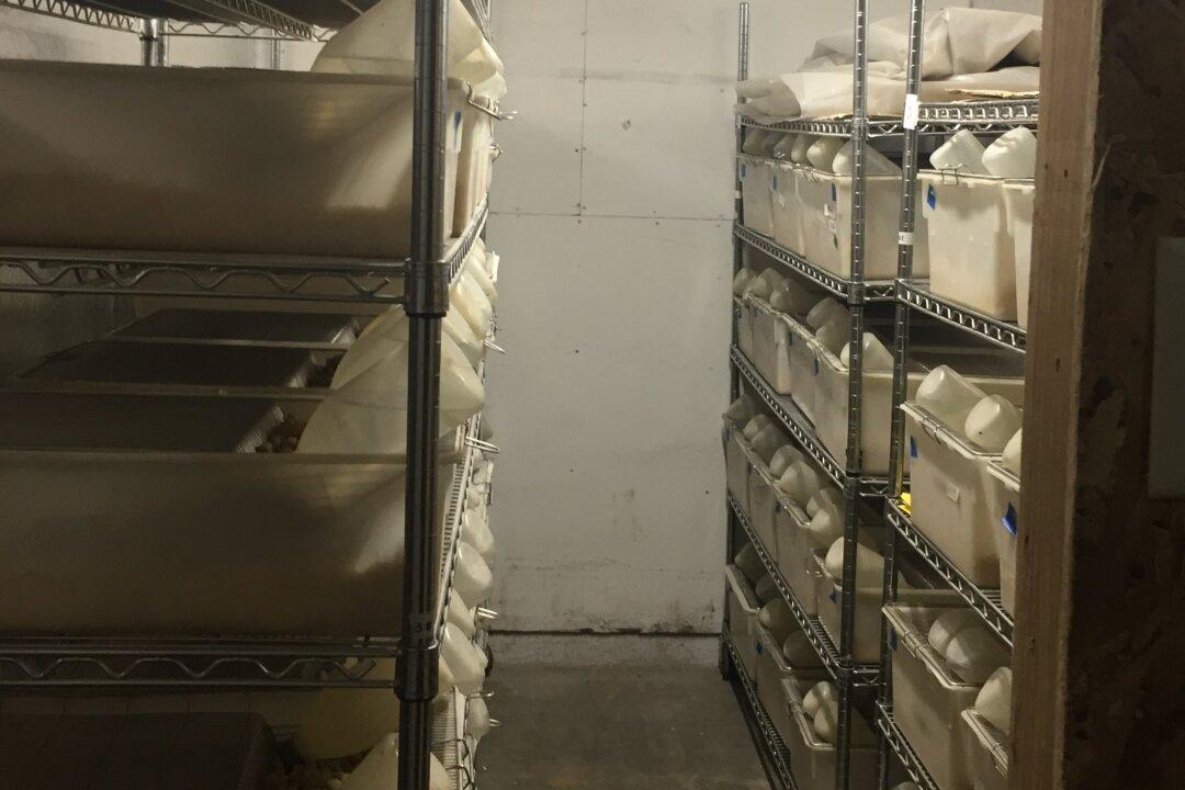 Coronavirus, HIV, Hepatitis, and Herpes Found in Unlicensed California Lab