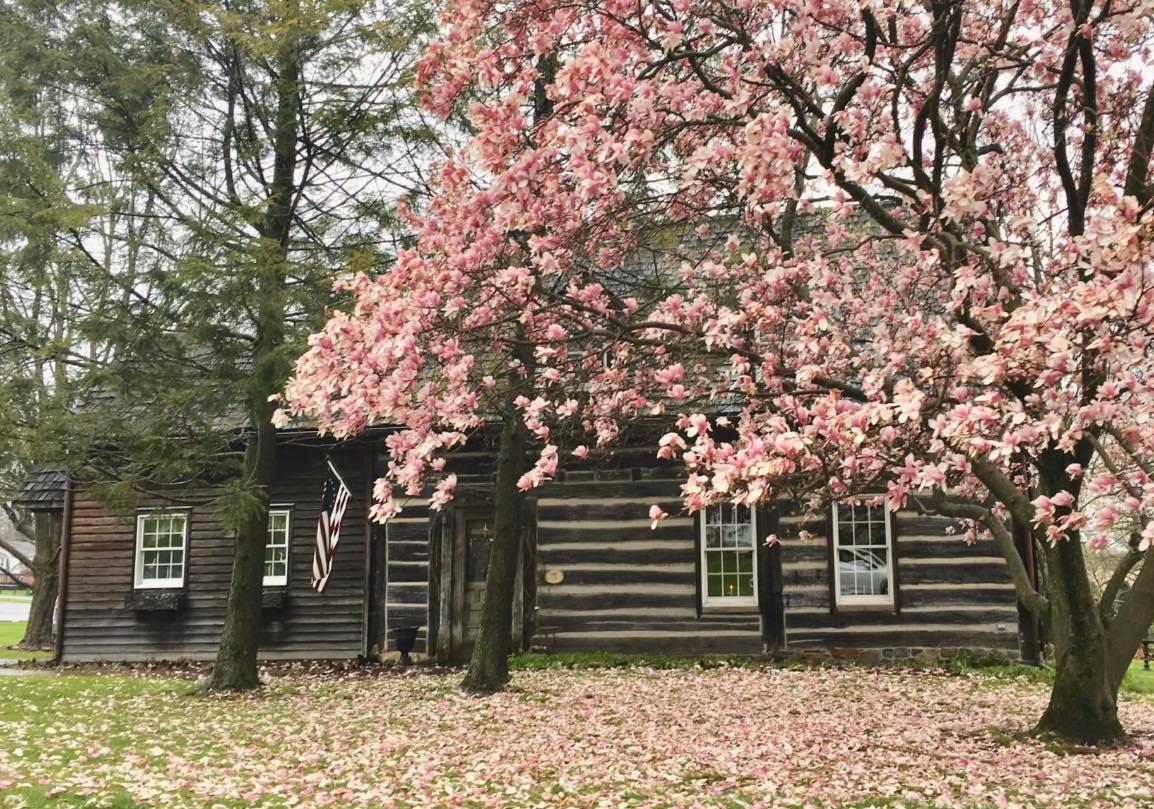 The Simpson's historic 1700s log home in Nazareth, Pennsylvania. (Courtesy of Ronnie Simpson)