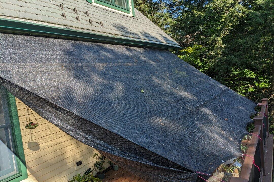 The Truth About You and Your Hot House