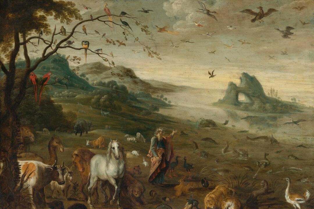 The Creation of Meaning and Beauty: ‘Genesis’ Ch. 1