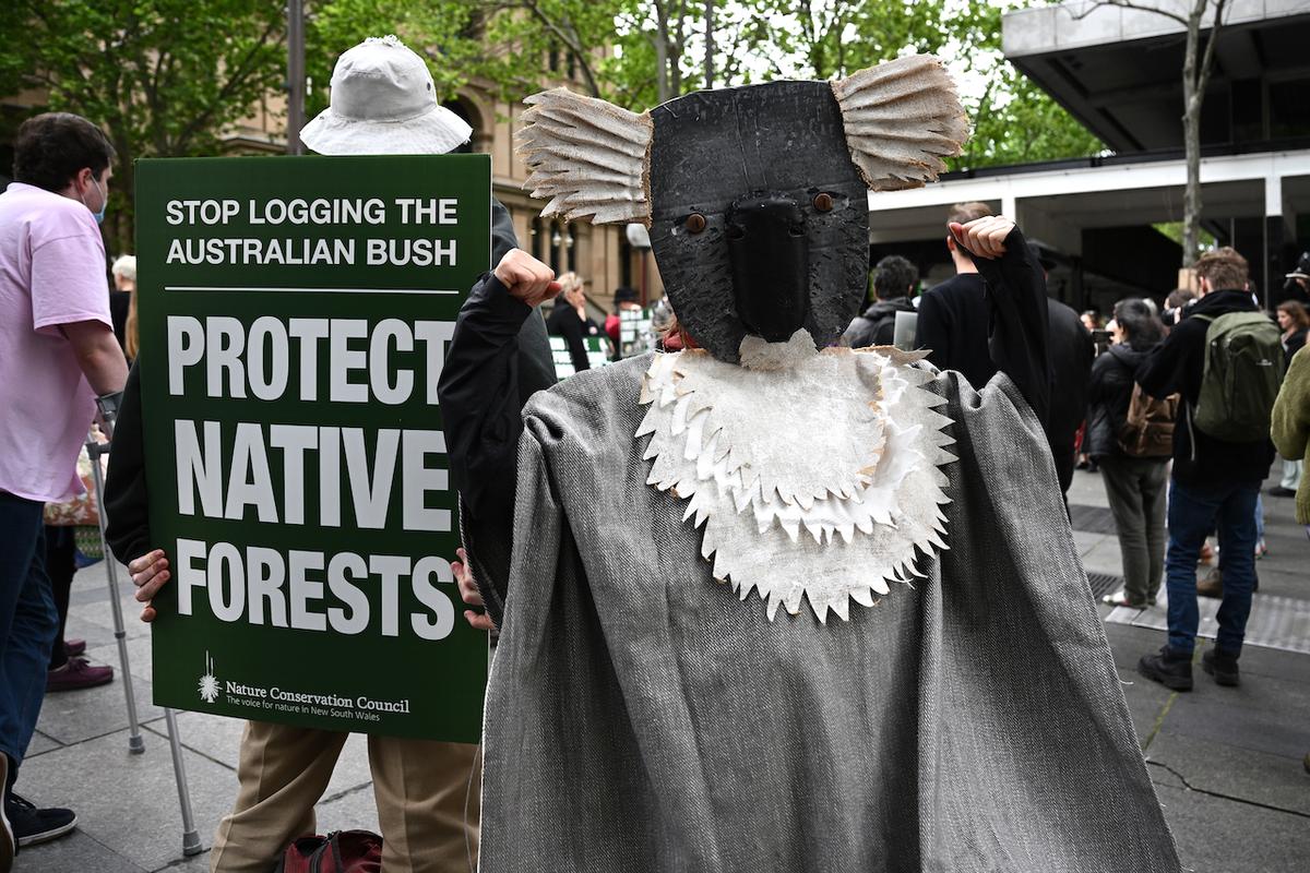 Australian Forestry Workers Urged to Be Protected After Receiving Threats