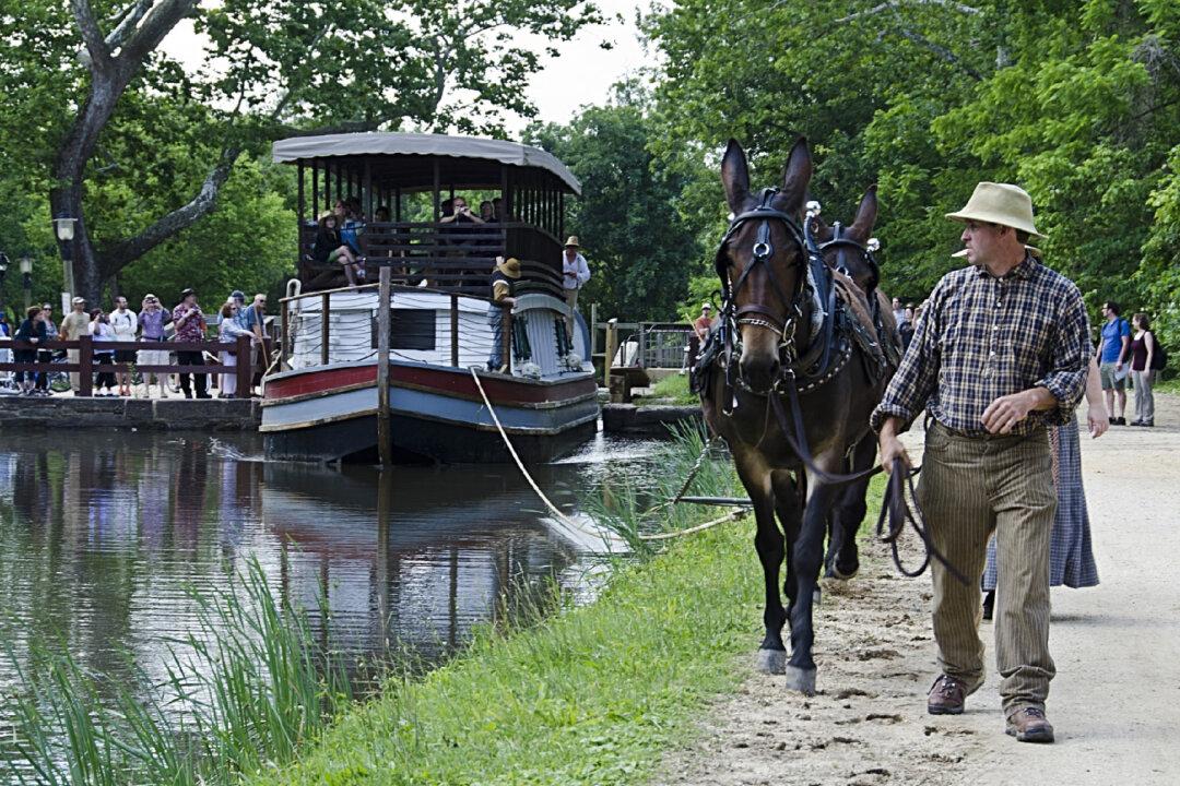 Hiking Through History