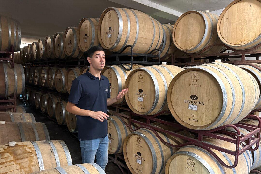 Finding Wine Country in Central Portugal