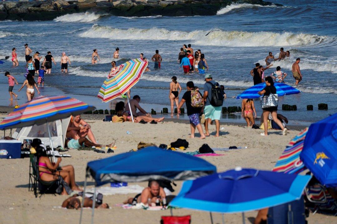 Woman Critically Injured by Rare Shark Bite Off NYC’s Rockaway Beach