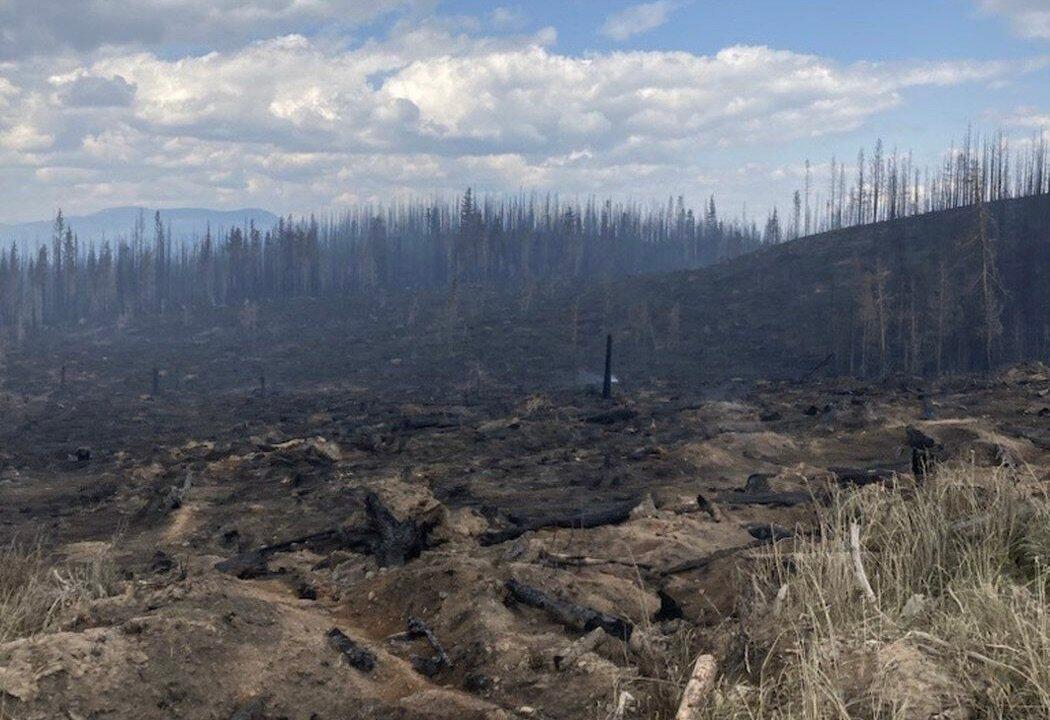 BC Wildfires: Frustrated Shuswap Residents Try to Save Homes, but Authorities Favour Evacuation