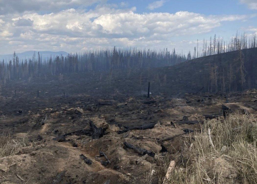 BC Wildfires: Frustrated Shuswap Residents Try to Save Homes, but Authorities Favour Evacuation