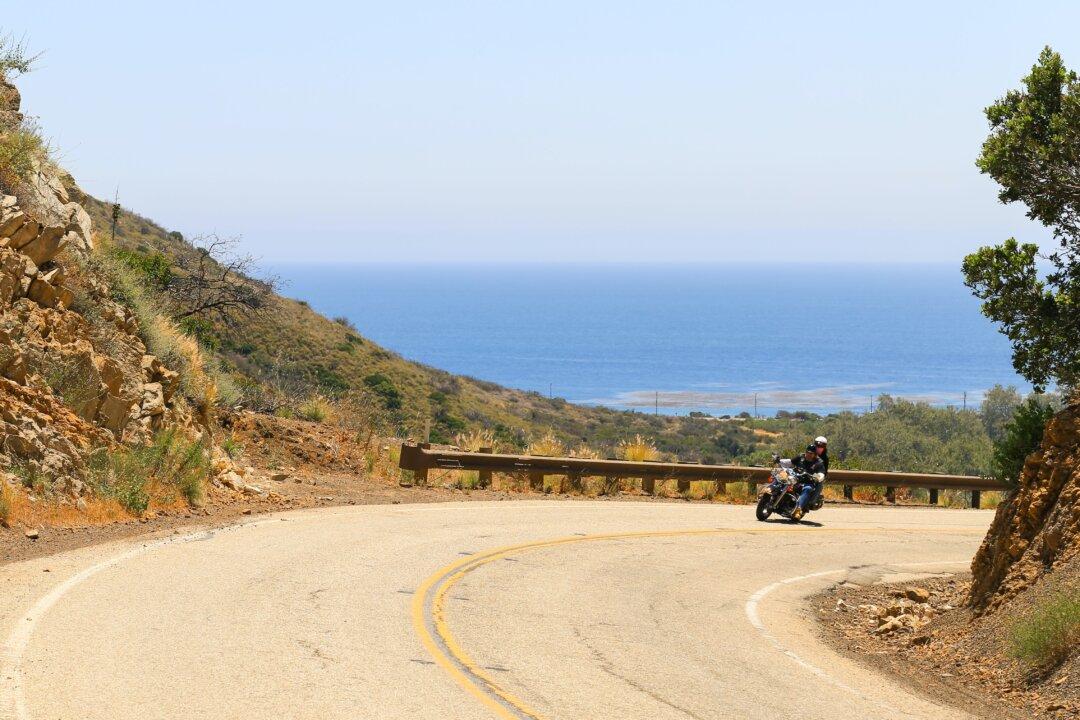 How a Motorcycle Trip Can Help You Embrace LA’s Forested Bounty