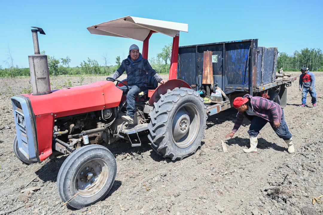 Steep Fines Levied on Employers Alleged to Have Breached Migrant Labour Rules: Report