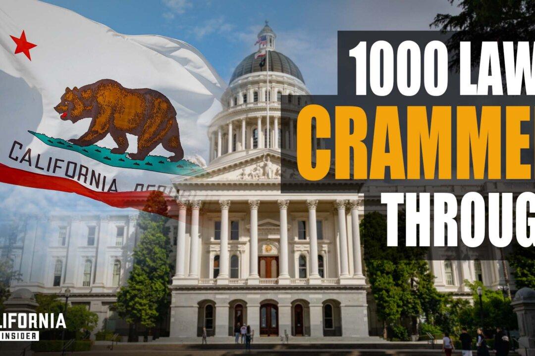 About 1,000 New Laws per Year: Reality of California Legislation | Shannon Grove