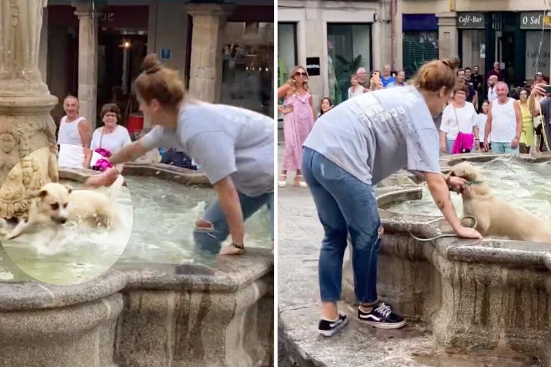 Hilarious Video Captures Woman Struggling to Catch Her Dog Frolicking in Public Fountain on a Hot Day