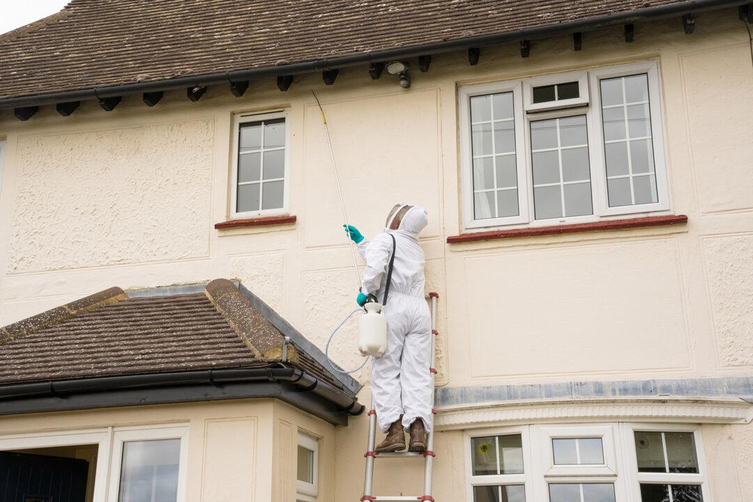 What Should I Ask When I Hire a Pest Control Service?