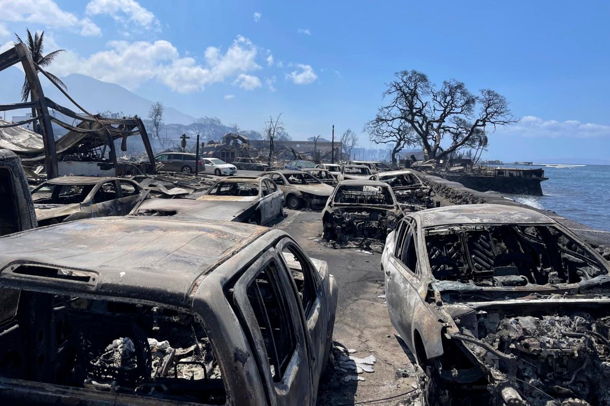 Burnt-out cars sit after a wildfire raged through Lahaina, Hawaii, on Aug. 9, 2023. (Tiffany Kidder Winn via AP)