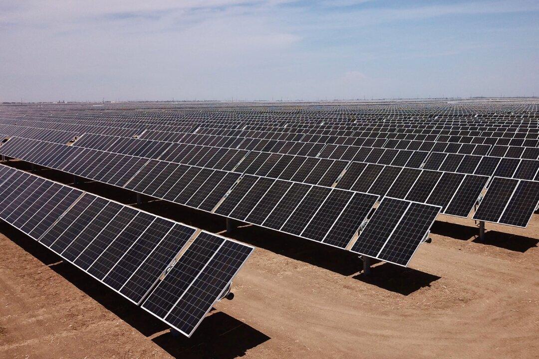 Time to Tell America’s Climate Cult ‘Stop!’